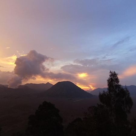 Bromo Holiday Guest House Ngadisari Esterno foto