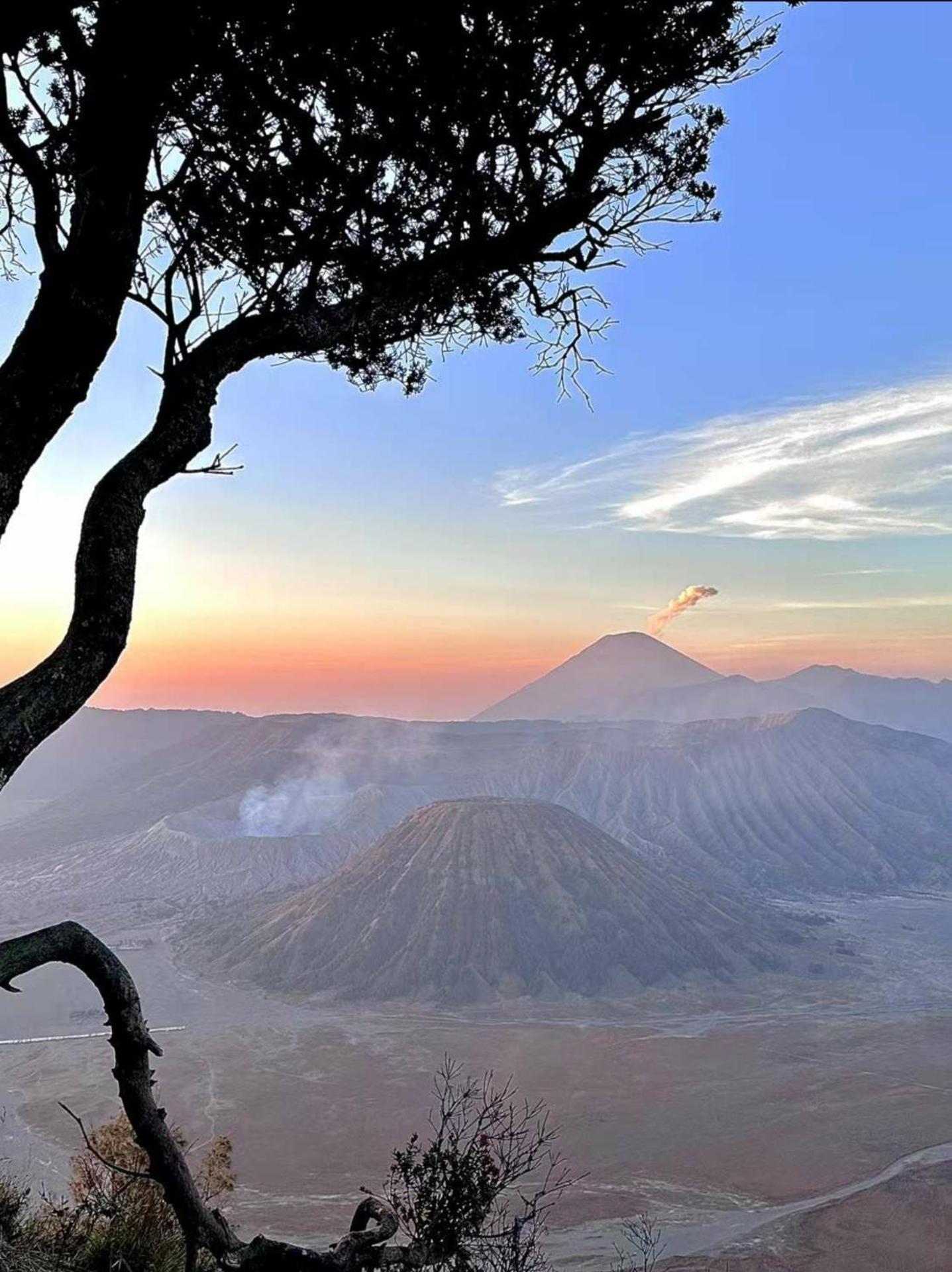 Bromo Holiday Guest House Ngadisari Esterno foto